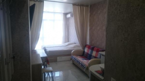 Apartment on Chkalova street 13